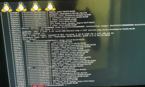 Centos启动卡死,报错 end trace 的解决方法